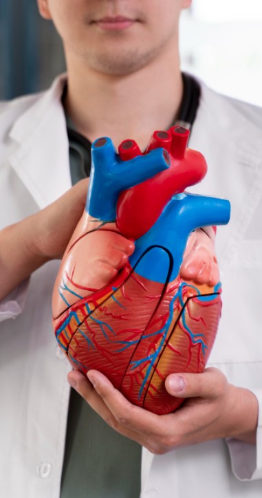 Ayurvedic treatment for blood pressure