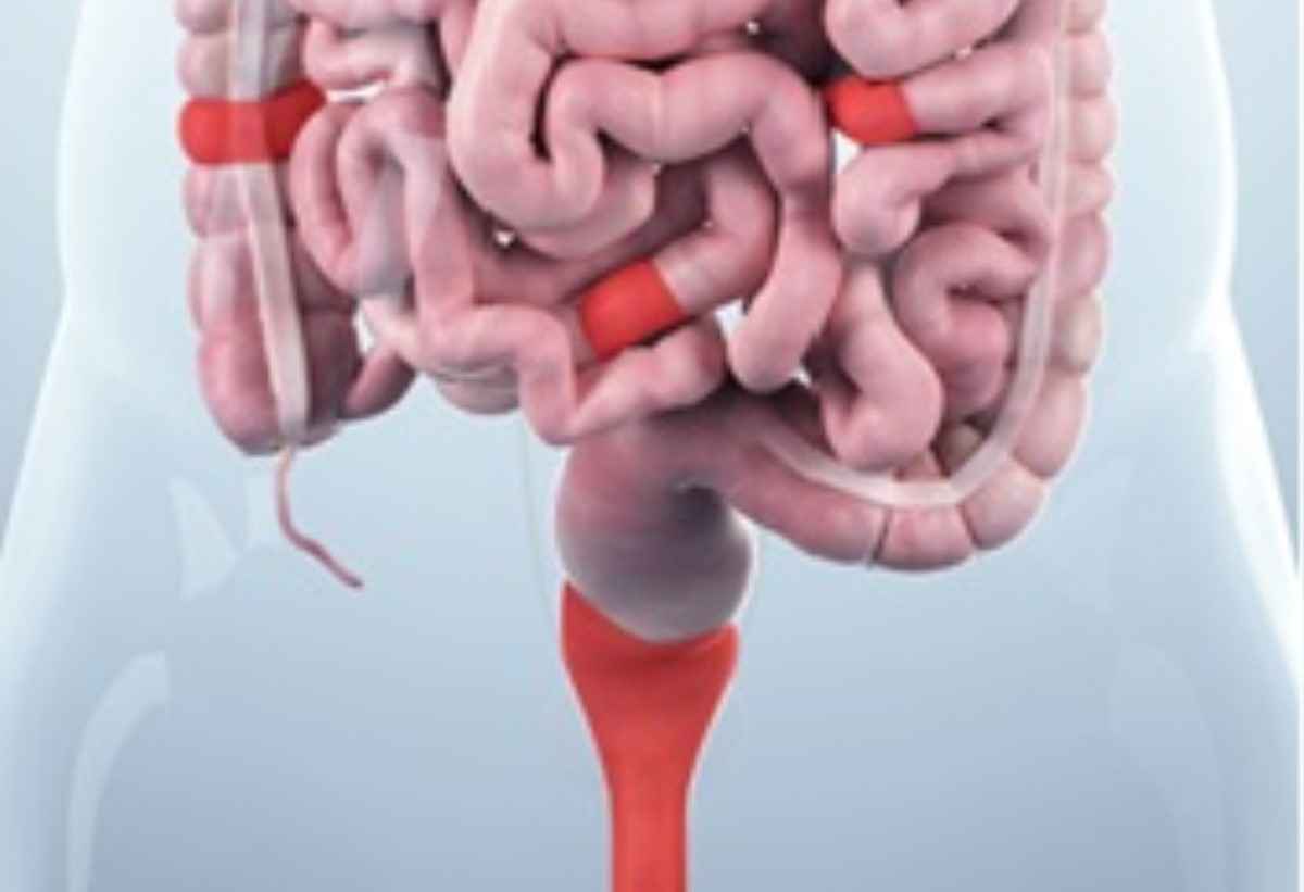 General Surgery Clinic