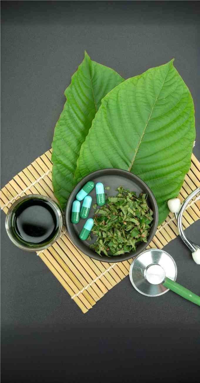 Ayurveda Therapy