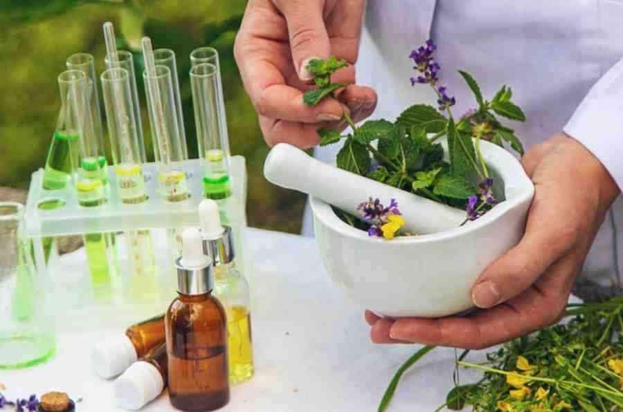 Traditional Ayurveda pharmacy for herbal medicines