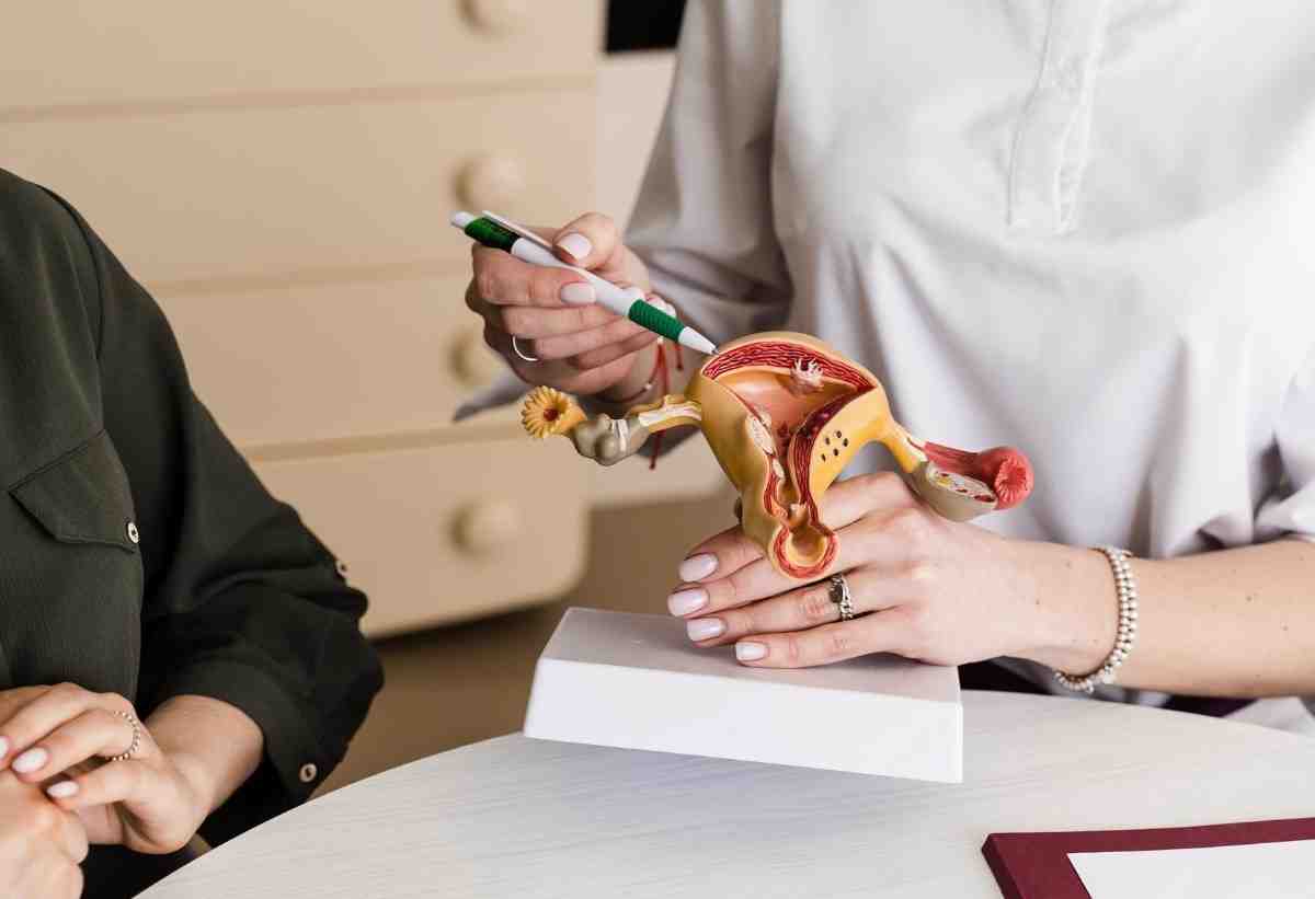 Best place of true splander