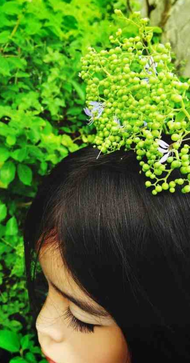 Ayurvedic Hair Treatment